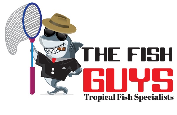 The Fish Guys